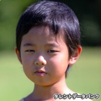 太陽